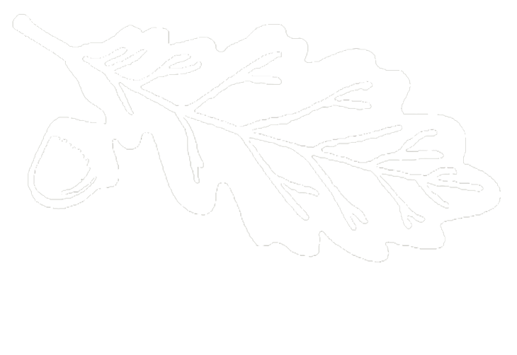 Logotipo Quercus